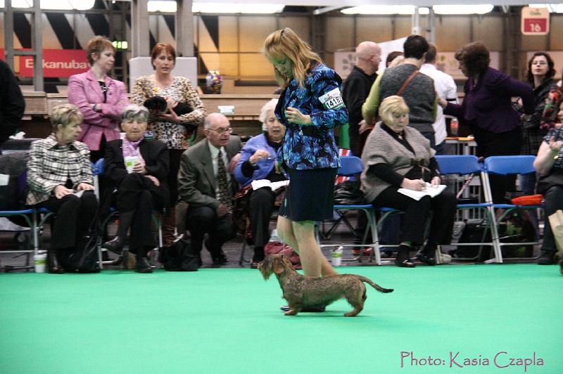 Crufts2011_2 1316.jpg